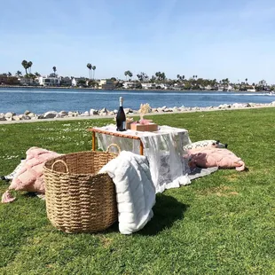 Valentine's picnic