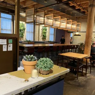 a bar with plants on the counter