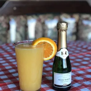 Mimosa Grande