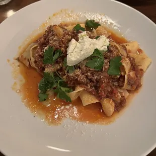Bolognese