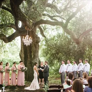 Photographer: Laura Morsman Photography  Venue: Charles Johnson House  Lighting: Big Medicine Sound and Lighting