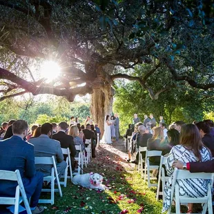 Beautiful Venue, we highly recommend!  Photography: Apogee Wedding Photography Venue: Charles Johnson House