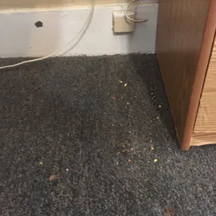 Moved the end table trying to find the large bug that crawled behind it. Didn't find the bug. Found crumbs and who knows what else.