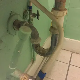 Bathroom, under the sink