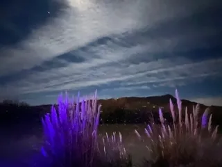 Blackstone Hotsprings