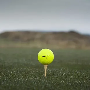 Nike, TaylorMade, and more available in the Pro Shop at price that can not be beat! Anywhere!