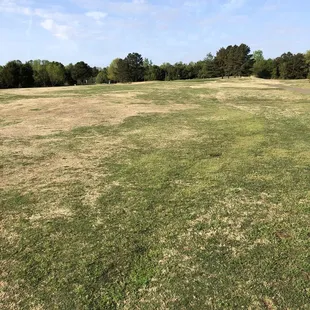 Fairways are rough too