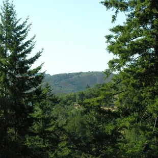 Enjoy the Beautiful Natural Scenic Views From the Vineyard and Tasting Room.