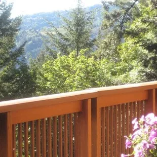 More Views From the Tasting Room