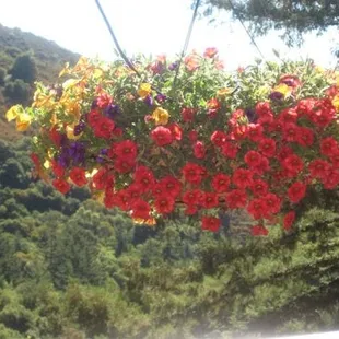 More Views From the Tasting Room