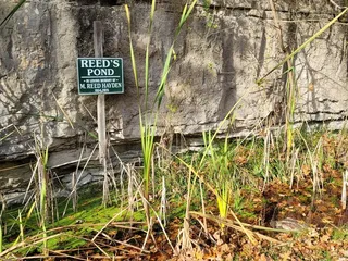 Cove Spring Park