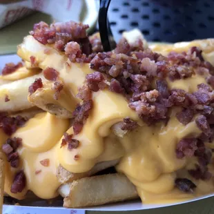 Bacon cheese gourmet fries!