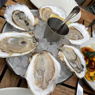 oysters, shellfish, oysters and mussels, food, mussels