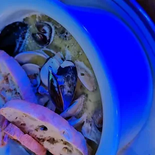 Mussel and clam combo