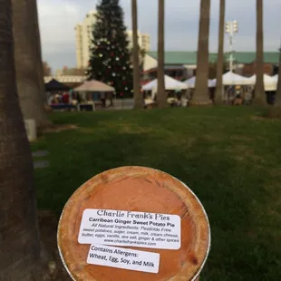 With the Christmas tree behind it :) - at jack London square