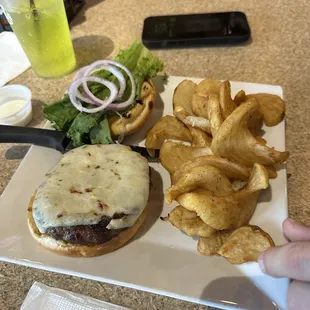 Burger with fries