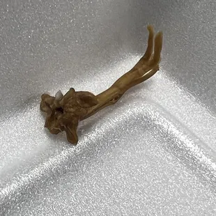 The foot of an unknown animal in my food