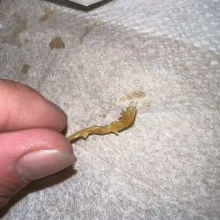 Plastic in my breakfast chorizo burrito that I chewed on. Not cool.