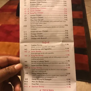 a hand holding a menu