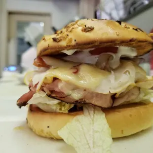 The Mango Melt, best served on an onion roll!!