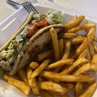 Chicken gyro and fries