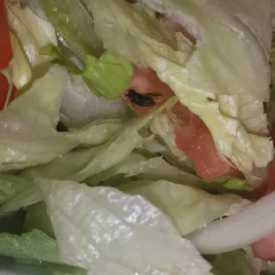 This was part of my every day lunch..but yesterday it was my last nasty lunch from charlies and so are my business customers...