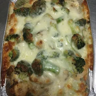 Chicken Broccoli Alfredo