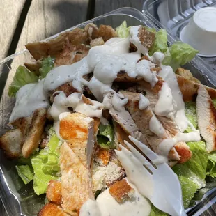 Chicken Caesar Salad