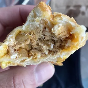 Chicken Empanada