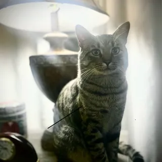 Philip D.