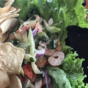 Shrimp Salad