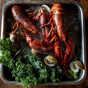 oysters and mussels, food