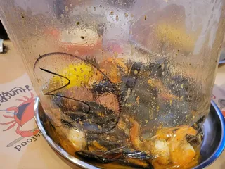 Hungry Crab Tampa Juicy Seafood & Bar - Tampa