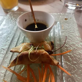 Potsticker Chicken (5)