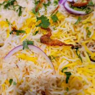 Chicken Biryani