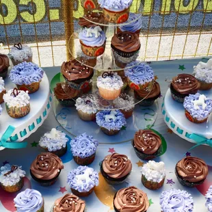 a display of frosted cupcakes