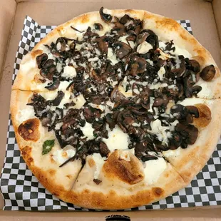 Fungi pizza