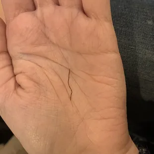 A RUSTY NAIL in my burrito