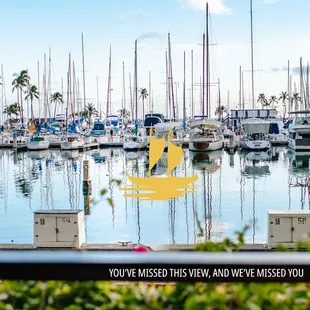 Chart House Waikiki View