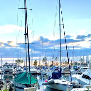 Great marina view from table.