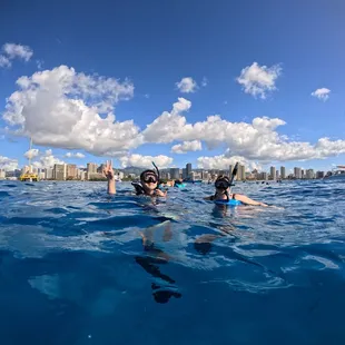 Turtle bay snorkeling