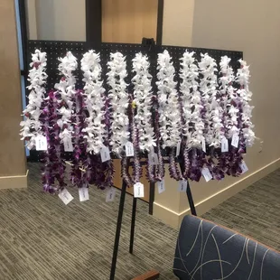 A lei for all his nieces and nephews!