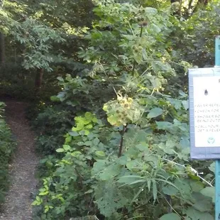 Chartiers Park