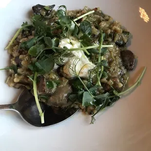 Mushroom Confit