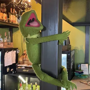 a stuffed frog hanging from the wall