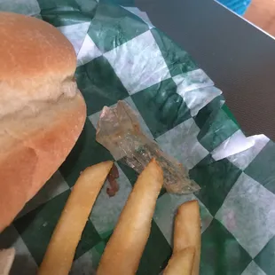 Onion skin found on my sandwich.