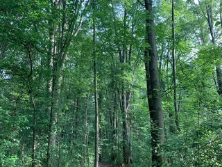 Home of the Brave Park