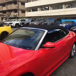 Fun selection of cars &amp; great customer service!