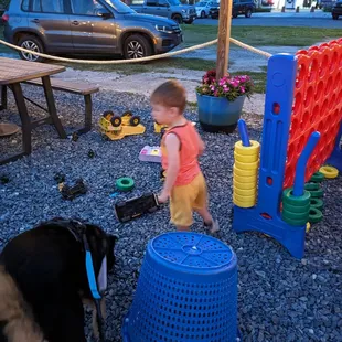 Toys for the kiddos.