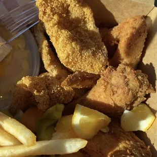 Fried Fish/ Chicken Combo